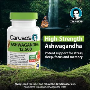 Caruso's Ashwagandha 12.500 Hỗ Trợ Giảm Căng Thẳng Và Ngủ Ngon 50 Viên – ảnh 3
